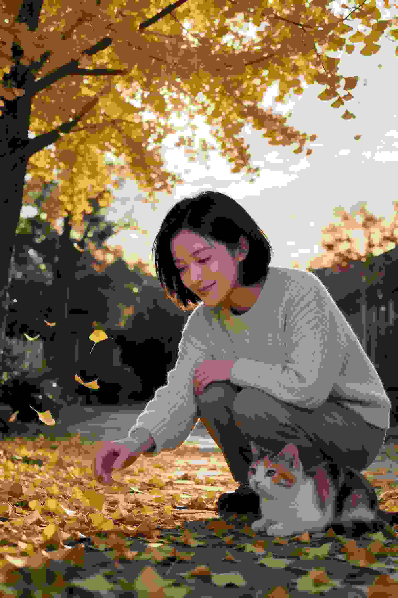 少年梦想